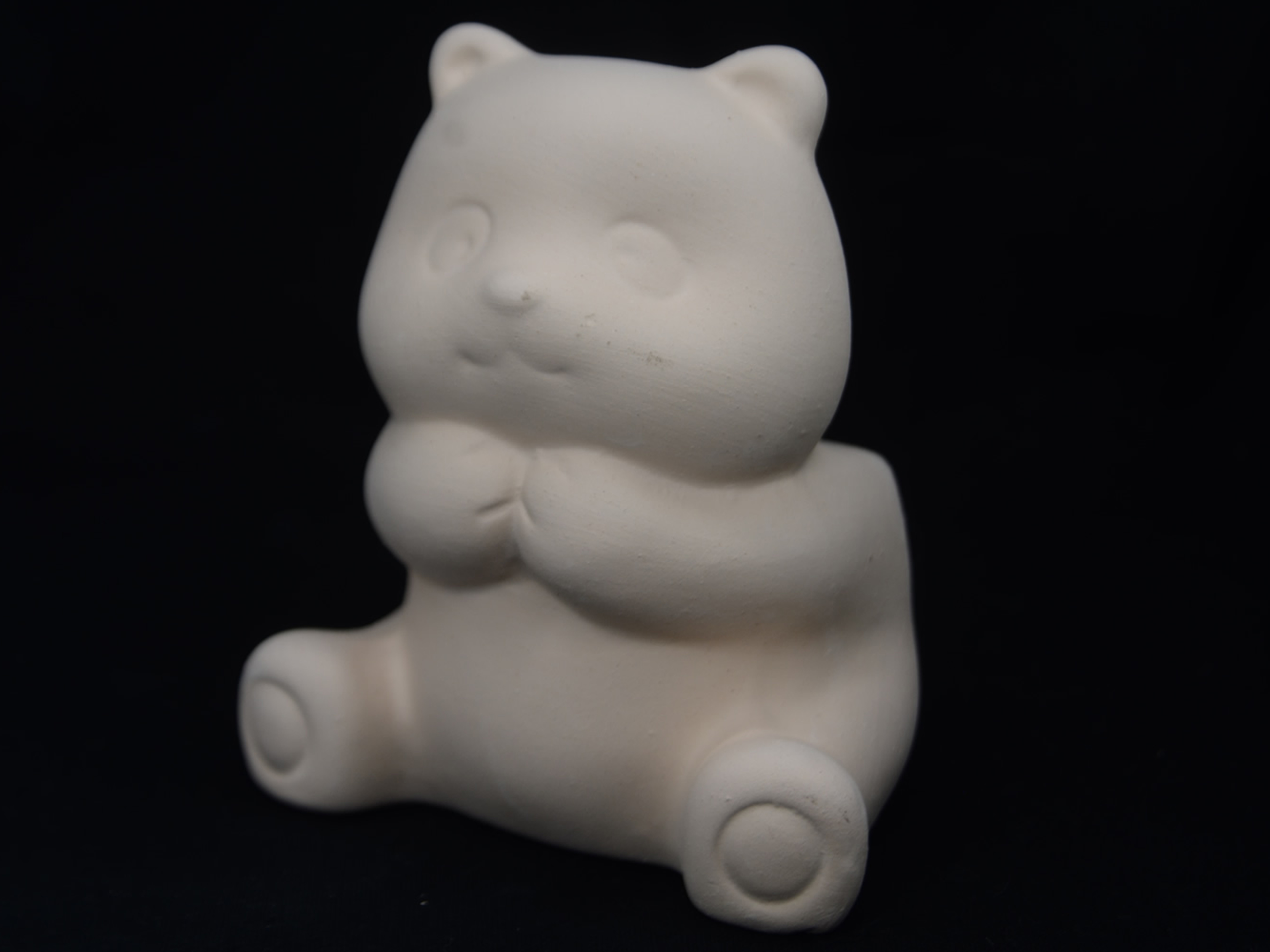 Urso Fofo Suculenta